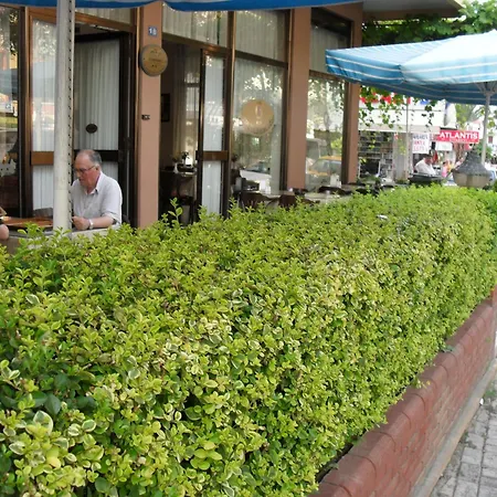 Yildirimoglu אלאניה
